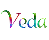 veda-intelligent-compaction-consulting